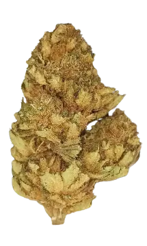 Lemon Haze