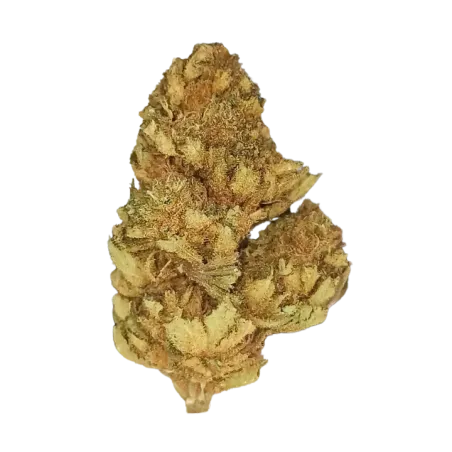 Lemon Haze