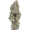 Blood Orange Diesel - CBD Orange 5.4% - Achat en Ligne