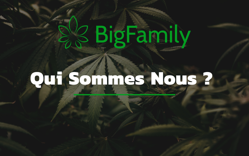 Bienvenue dans l’Univers de la BigFamily CBD Français Pur et Authentique